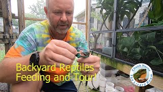 Backyard Reptiles feeding and tour 10 species30 animals [upl. by Letsirhc21]