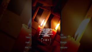 Paadhi neeye en paadhi neeye song lyrics 💔💔💌🥀🥀🎶 trending instagram amaran lovefeeling [upl. by Anwaf713]