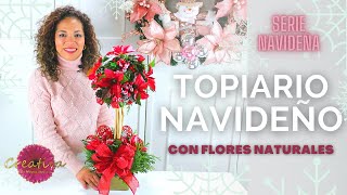 🟢🌲Cómo hacer TOPIARIO NAVIDEÑO Con Flores Naturales y Esfera 🟢 [upl. by Vlada]