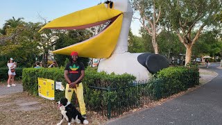 Noosaville Queensland Australia  Noosa Walking Tour with Ambient Sounds [upl. by Ykceb]