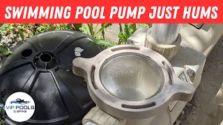 Pentair Swimming Pool Pump Motor is Humming  Pentair Pool Motor Just Hums [upl. by Yrred]