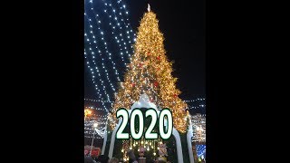 Новогодняя елка в Киеве 2020KIEV Ukraine Christmas tree 2020 [upl. by Fital623]