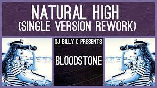 Bloodstone  Natural High Single Version Rework [upl. by Beasley]