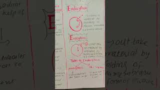 Endocytosis amp Exocytosis cellbiology scienceeducation bioscienceilmkiduniya [upl. by Anyrak]