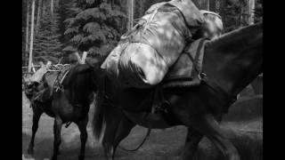 Idaho mule packing Chamberlain Basin Outfitters [upl. by Ezana]