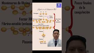 ¿Qué es el dimero D shorts hematologia coagulation [upl. by Nilkoorb]