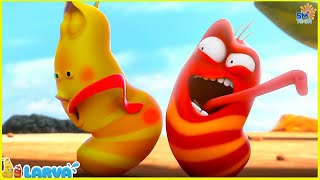 LARVA Season 1 Episode 213  315  Best Cartoons 2022  Comics  Hilarious Cartoon Compilation [upl. by Kinny]