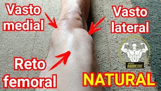 Vasto medial lateral reto femoral natural Musculação 🏅 RADDICORE ® [upl. by Pihc]