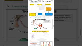 B Pharm 1st semester  HAP beautiful notes [upl. by Batista18]