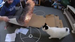 IKEA NYMO Shade Build with my Kitty Cat [upl. by Tibbs]