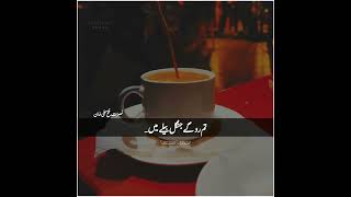 NFAK  WHATSAPP STATUS  QAWALI ❣️foryou nusratfatehalikhan qawwaliforyoupage 500k fypシ゚ [upl. by Roe]