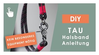 Anleitung Tauhalsband  Halsband für Hund aus PPMSeil selber machen  DIY [upl. by Zeeba292]