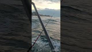 increíble pesca en altamar [upl. by Selimah837]