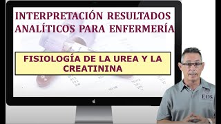 15 INTERPRETACIÓN RESULTADOS ANALÍTICOS FISIOLOGÍA DE LA UREA Y CREATININA [upl. by Sarat]