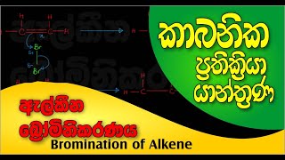 Bromination of Alkene  ඇල්කීන බ්‍රෝමිනිකරණය Lesson 05 [upl. by Atahs]