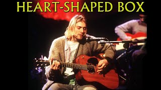 Nirvana  HeartShaped Box MTV Unplugged [upl. by Kramer390]