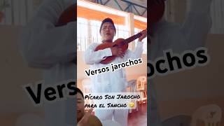 Versos groseros jarochos  picarones music voiceeffects pichones humor usa veracruz queen [upl. by Hi]