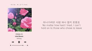 NFlying 엔플라잉 – 피었습니다 Into Bloom [upl. by Akenahc]