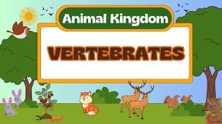 Vertebrates for kids [upl. by Lodge90]