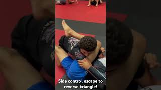 Side control escape to reverse triangle Oss [upl. by Ateloiv]