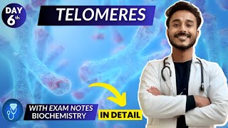 telomeres biochemistry  telomerase biochemistry  telomerase replication in eukaryotes biochemistry [upl. by Dettmer]