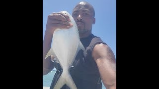 Fishing On The Matanzas Inlet Bridge In Saint Augustine Florida [upl. by Ydac937]