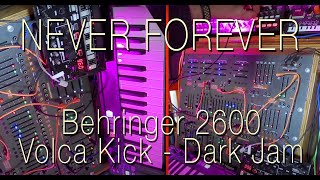 Behringer 2600 amp Volca Kick NEVER FOREVER Darker Jam SQ1 sequencers amp NTS1 effects 2600 Volca [upl. by Nitza]