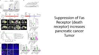 Pancreatic Cancer Suppresion of FAS receptor death receptor reinstates tumor growth Code 602 [upl. by Tibbs]