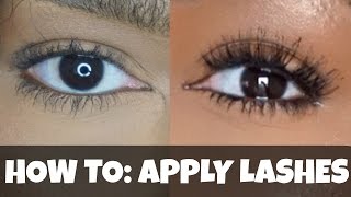 HOW TO Apply False Lashes on CURLY LASHES BEGINNER FRIENDLY Quick amp Easy  iamLindaElaine [upl. by Gazzo959]