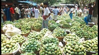 Good price to mango at Gaddiannaram market  Hyderabad [upl. by Immaj528]