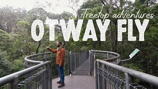 Otway Fly Treetop Adventures Zip lining and Treetop Walk [upl. by Haeckel639]