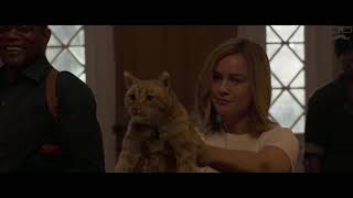 Captain Marvel  Thats Not A Cat  Thats A Flerken  Brie Larison  2019 [upl. by Sucramaj]