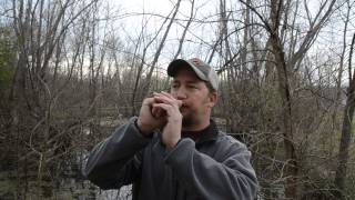 How To GOOSE CALL For Beginners  Goose Calling tips and tricks [upl. by Yesnyl]