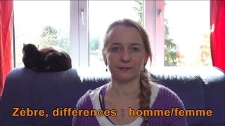 Zèbre  differences hommefemme [upl. by Ahsienar]