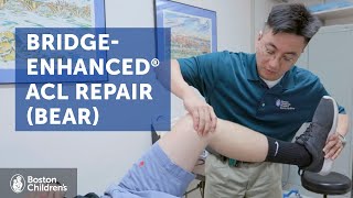 BridgeEnhanced ACL Repair BEAR  Boston Childrens Hospital [upl. by Bella619]