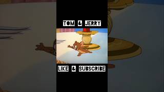 Tom and Jerry Cartoon😊 shorts youtubeshorts youtube cartoon 3d 3danimation riperiod [upl. by Alracal5]