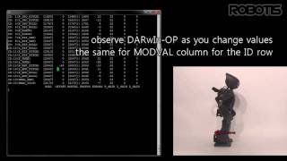 DARwInOP SW Tutorial 3Offset Tuner [upl. by Charlton]