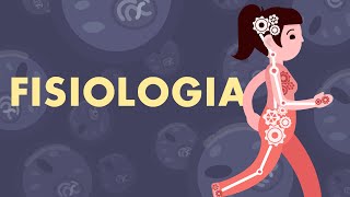 FISIOLOGIA Introdução à Homeostasia [upl. by Nnairac]