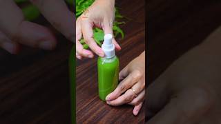 Summer Special Homemade Neem Facewash For Acne Free Glowing Skin shorts [upl. by Micheline76]