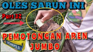 FUNGSI SABUN BATANGAN UNTUK AREN JUMBO [upl. by Attalanta768]