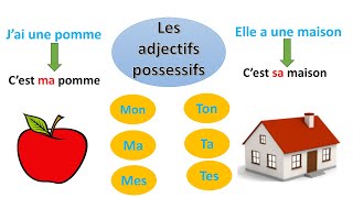 Les adjectifs possessifs [upl. by Idelia]