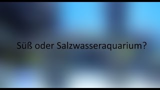 Süß oder Salzwasseraquarium [upl. by Morrison]