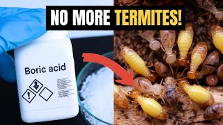 Homemade Way To Kill Termites Its Easy [upl. by Ammadis]