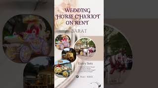 Ghoda Baggie  Horse Chariot on Rent in Pune Maharashtra [upl. by Phip244]