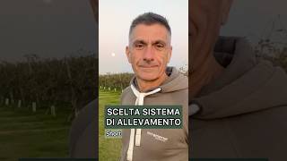 Scelta del sistema di allevamento agriculture viticulture viticoltura [upl. by Washburn]