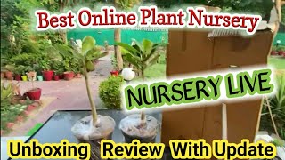 Nursery Live Review Unboxing and Update Best Online Plant Nursery  ऑनलाइन पौधे कैसे खरीदें [upl. by Ianthe196]