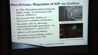 Rho Kinases in Ophthalmology [upl. by Annabell]