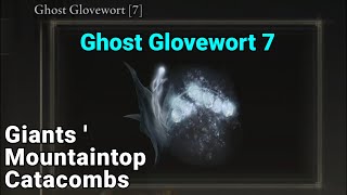 Ghost Glovewort 7 Location  Giants Mountaintop Catacombs  Elden Ring [upl. by Anavoig973]