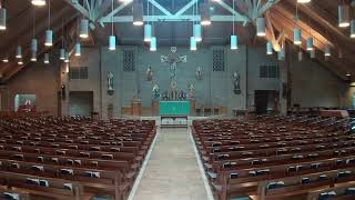 800am Mass from Holy Cross Catholic Church  September 28 2024 [upl. by Cardon857]