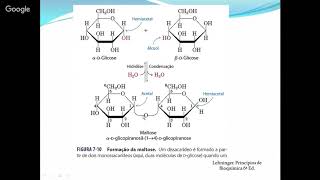 Bioquímica  Ligação Glicosídica [upl. by Atteniuq]